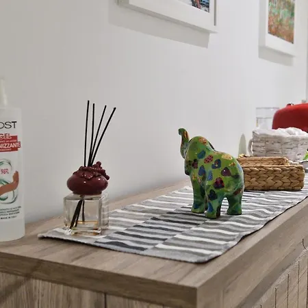 Karol Airport 바리